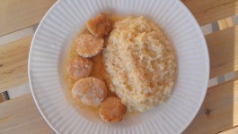 searedscallops2526milaneserisotto1
