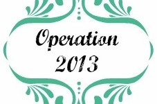 op2013