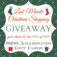 Last Minute Christmas Shopping Giveaway  {Closed}