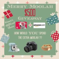 Merry Moolah $500 Giveaway  {Closed}