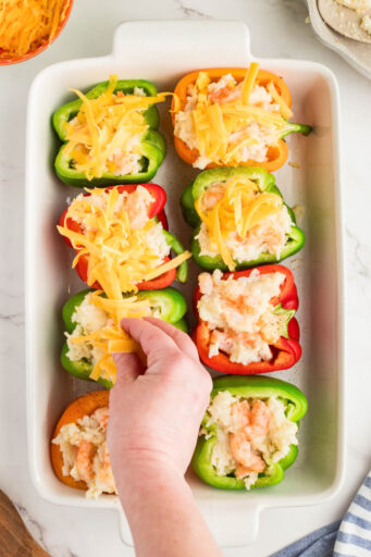 shredded cheddar cheese being sprinkled over par cooked shrimp stuffed peppers in a baking dish