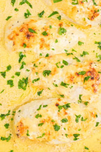close up of baked caesar chicken in the baking dish after broiling and topping with parsley