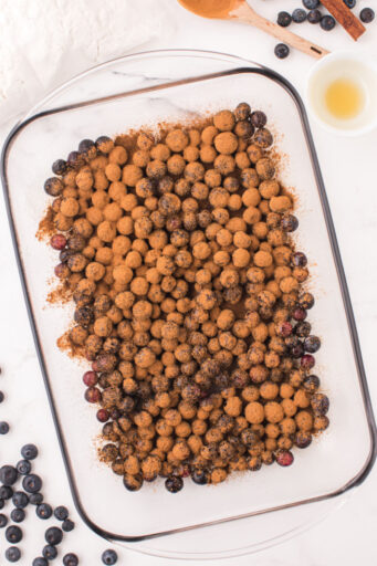 blueberries spread out in a glass baking dish and topped with maple syrup and ground cinnamon