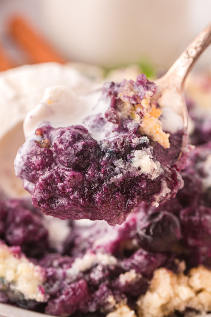 close up of a spoonful of blueberry cobbler and ice creram over the plate